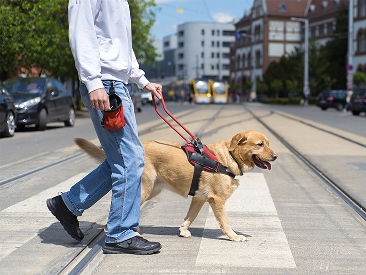 Man crosses road with service dog.